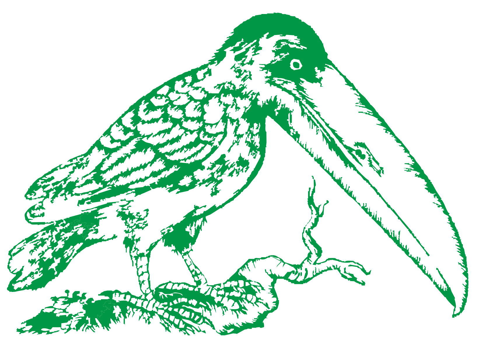 Logo EREA fond transparent nov2013 toucan vert
