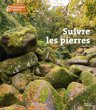 Neuro-lithique ou le sex appeal de l'inorganique à ... Image 1